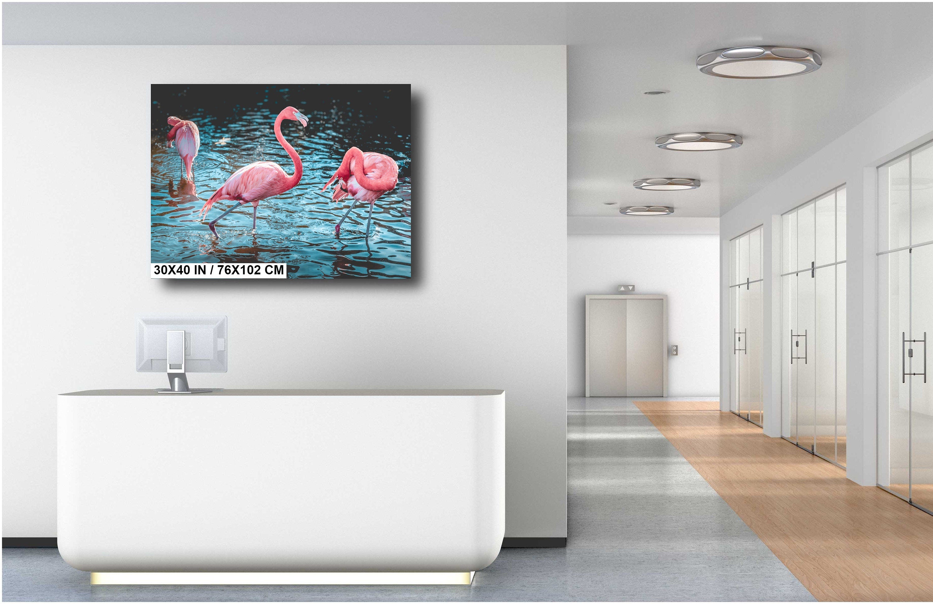 Bird Bath Time: Three Pink Flamingos Posing in the Water Wall Art Metal Canvas Print Bird Photography