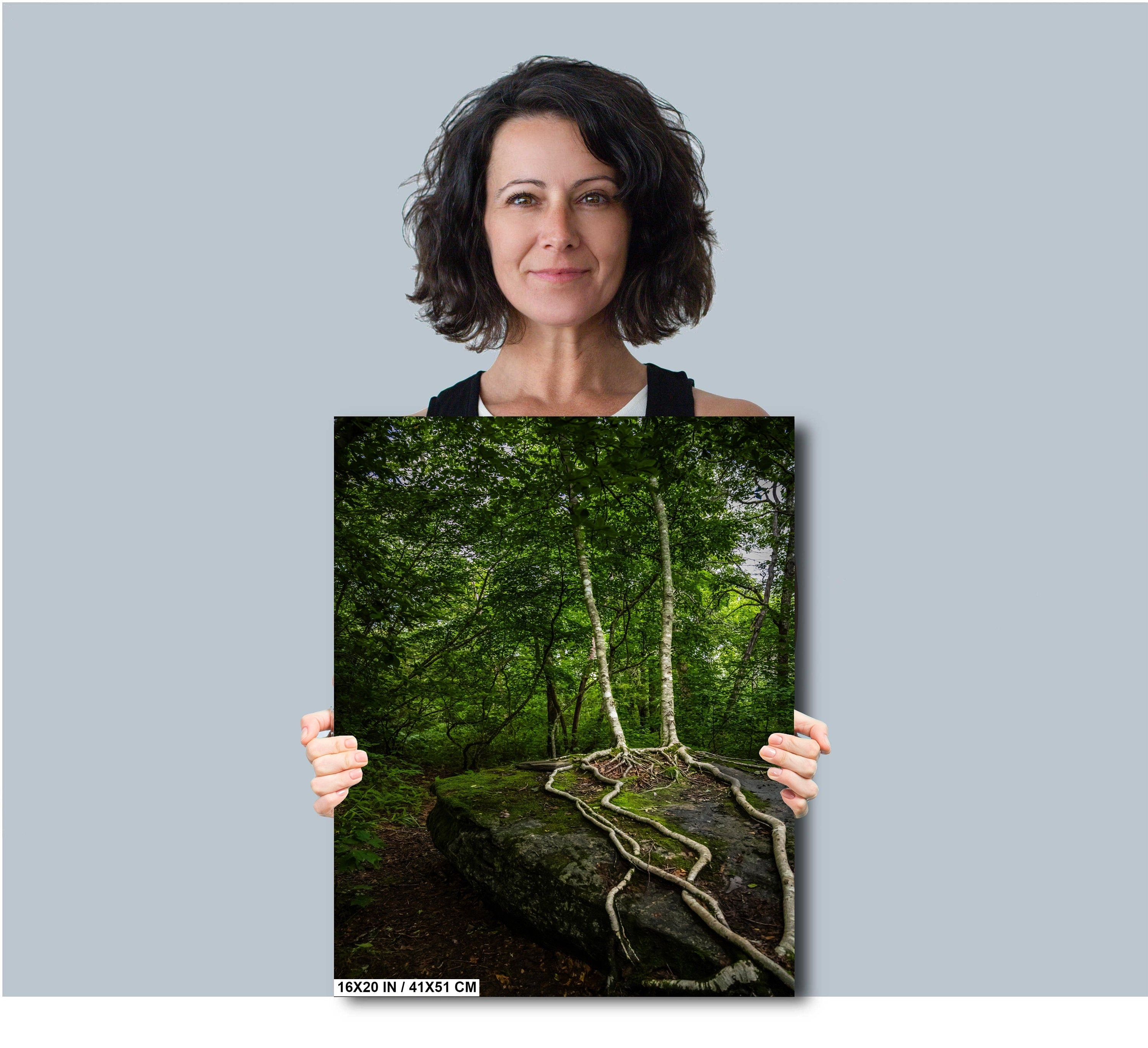 Married Trees with Loving Entwined Roots: Scaly Mountain on Bartram Trail Blue Ridge Mountain Forest Print Wall Art North Carolina Aluminum/Acrylic/Metal/Canvas