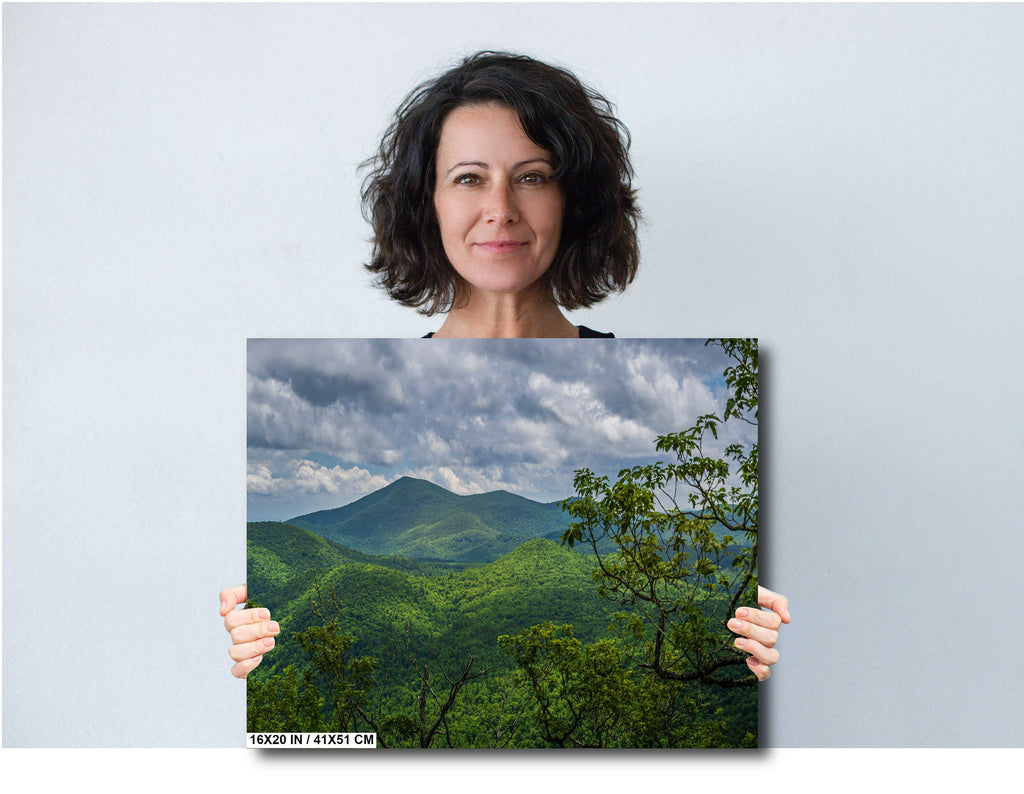 Blue Ridge Hideaway: North Carolina Wall Art Print Lush Green Scenic Appalachian Mountains Nature Photography Aluminum/Acrylic/Metal/Canvas