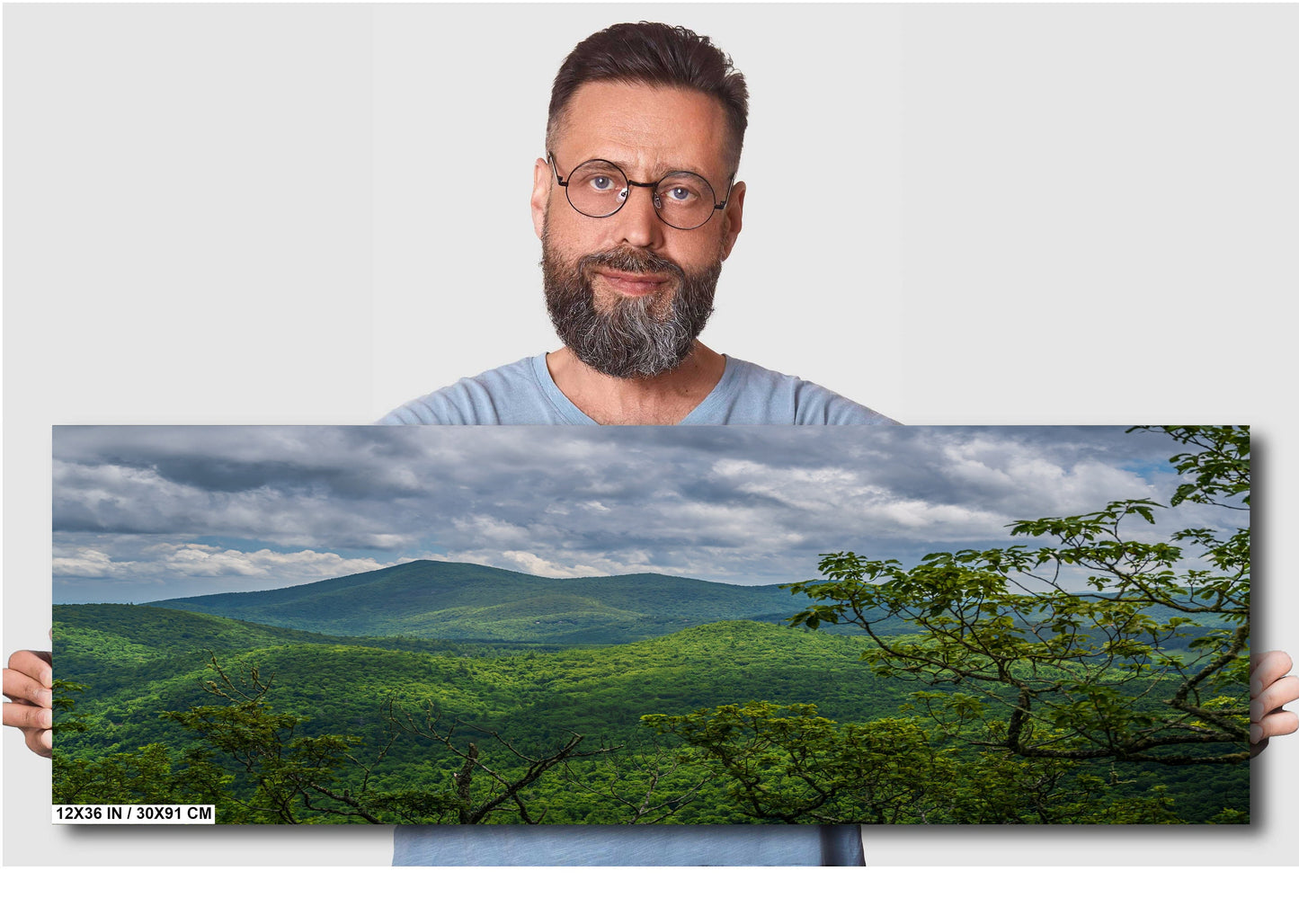 Blue Ridge Hideaway: North Carolina Wall Art Print Lush Green Scenic Appalachian Mountains Nature Photography Aluminum/Acrylic/Metal/Canvas