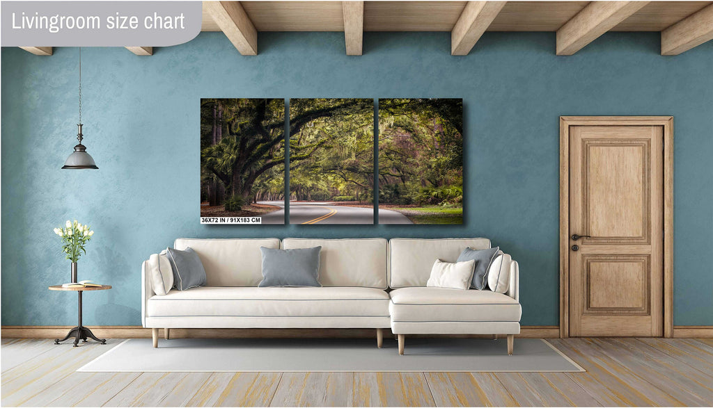 Mossy Motorway: Spanish Moss in Hilton Head Sea Pines Forest South Carolina Wall Art Metal Acrylic Print Nature Photography