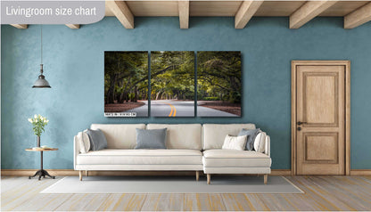 A Drive Through Mossy Sea Pine Forest: Hilton Head Island's Spanish Moss Wall Art Metal Canvas Print South Carolina Nature Photography