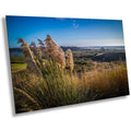 Pampas Grass Field Print: Heceta Head Oregon Coast Wall Art