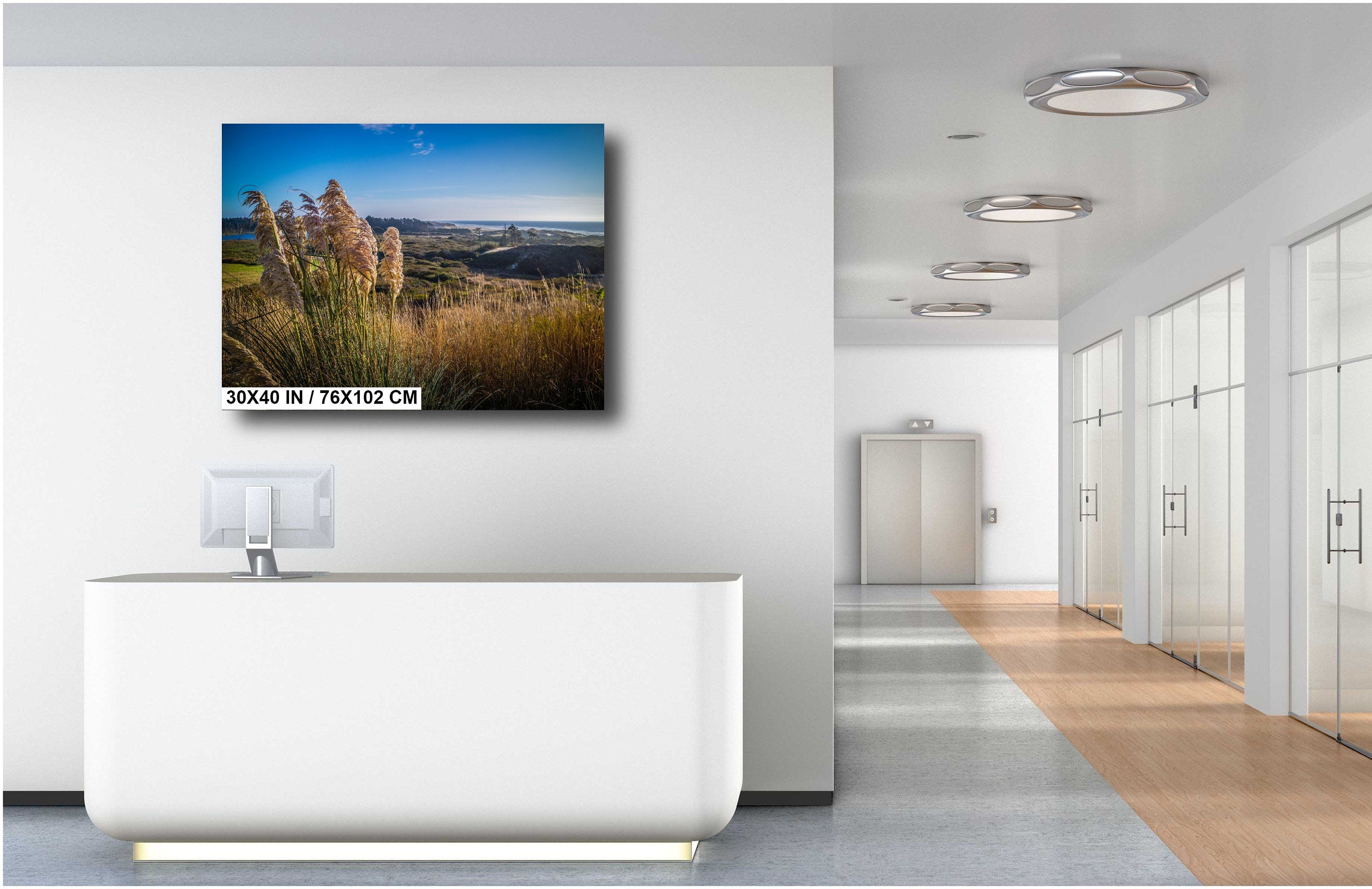 Pampas Grass Field Print: Heceta Head Oregon Coast Wall Art