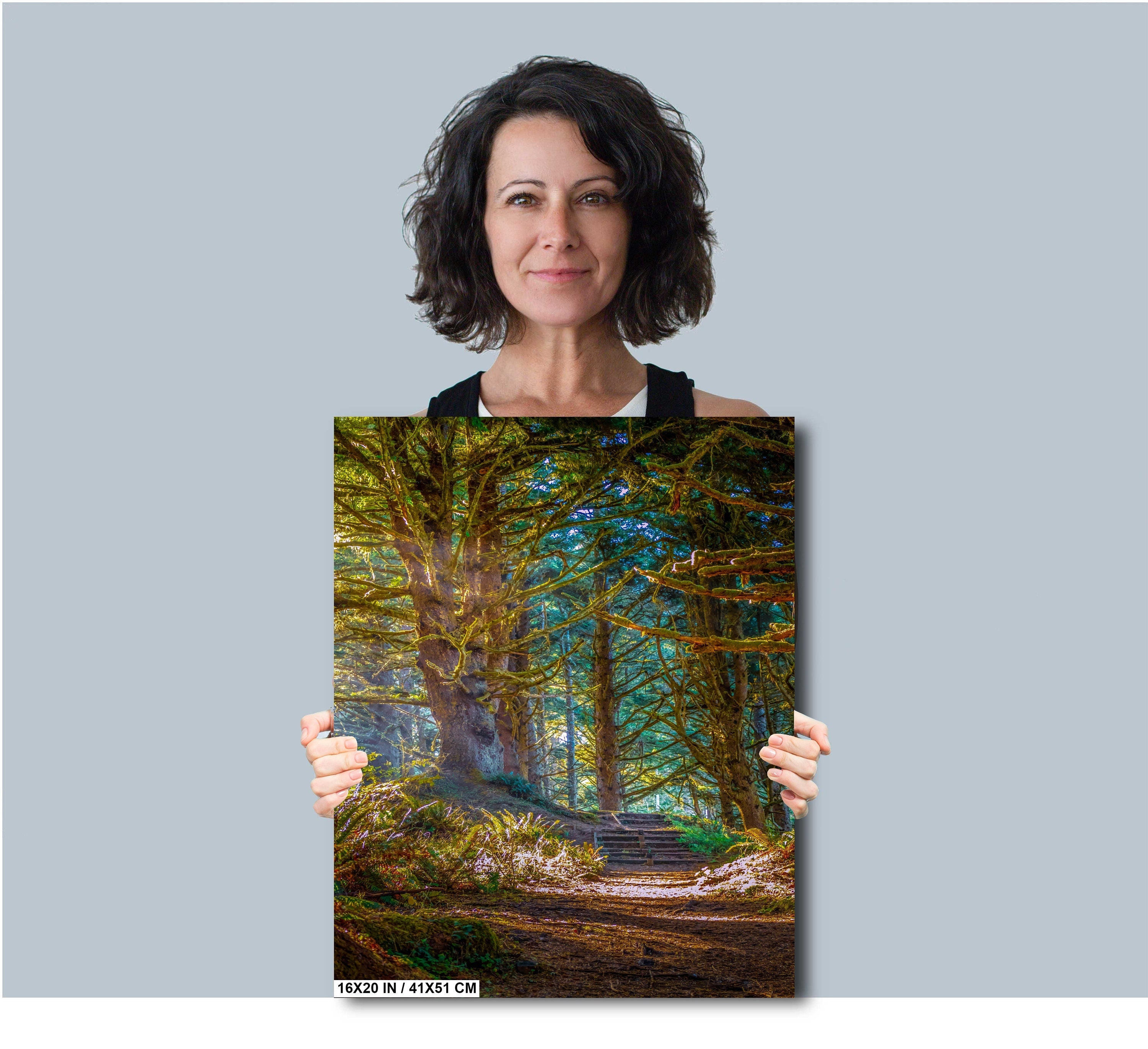 Florence Oregon Forest Print: Sunlight Reflection Wall Art