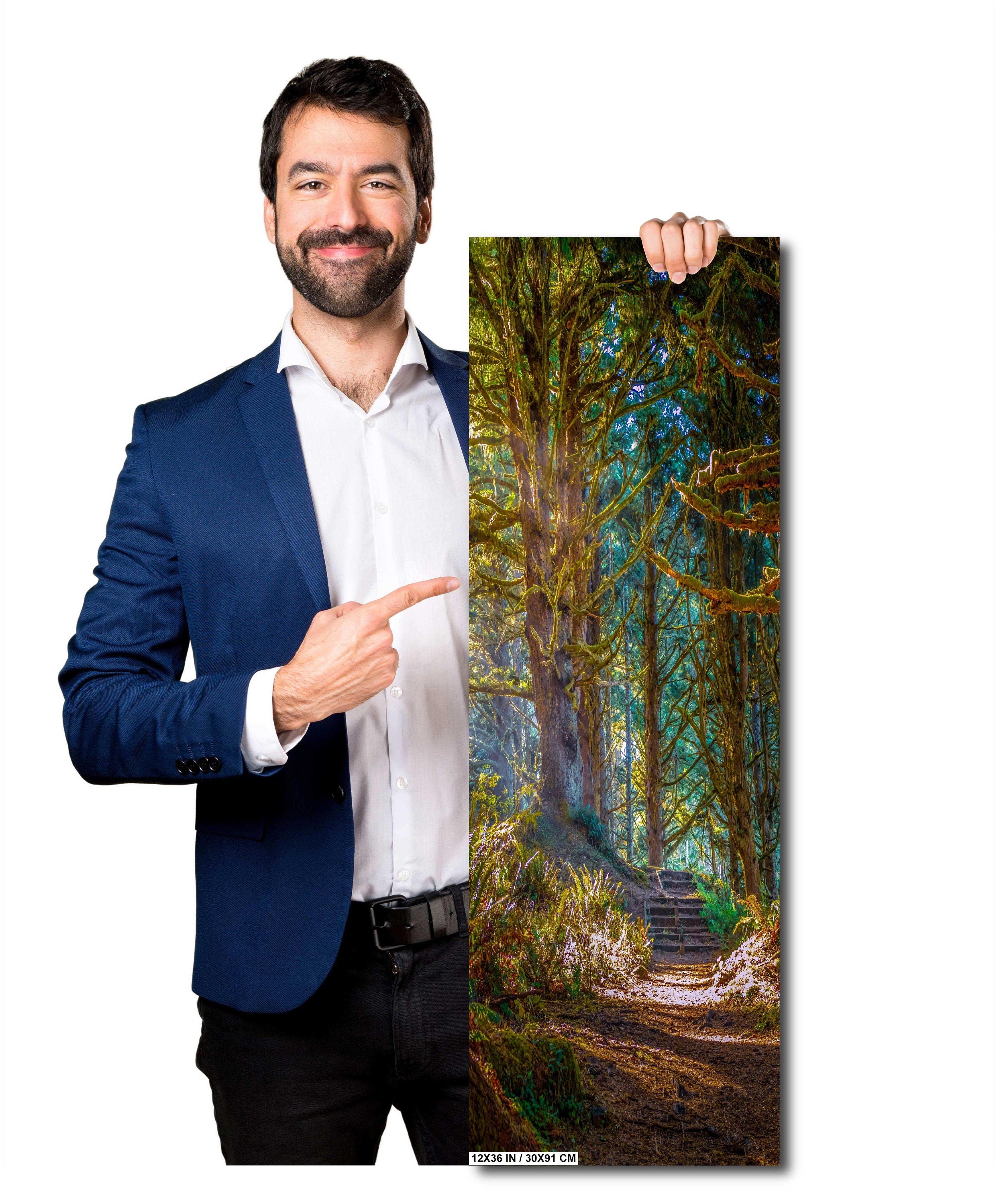 Florence Oregon Forest Print: Sunlight Reflection Wall Art