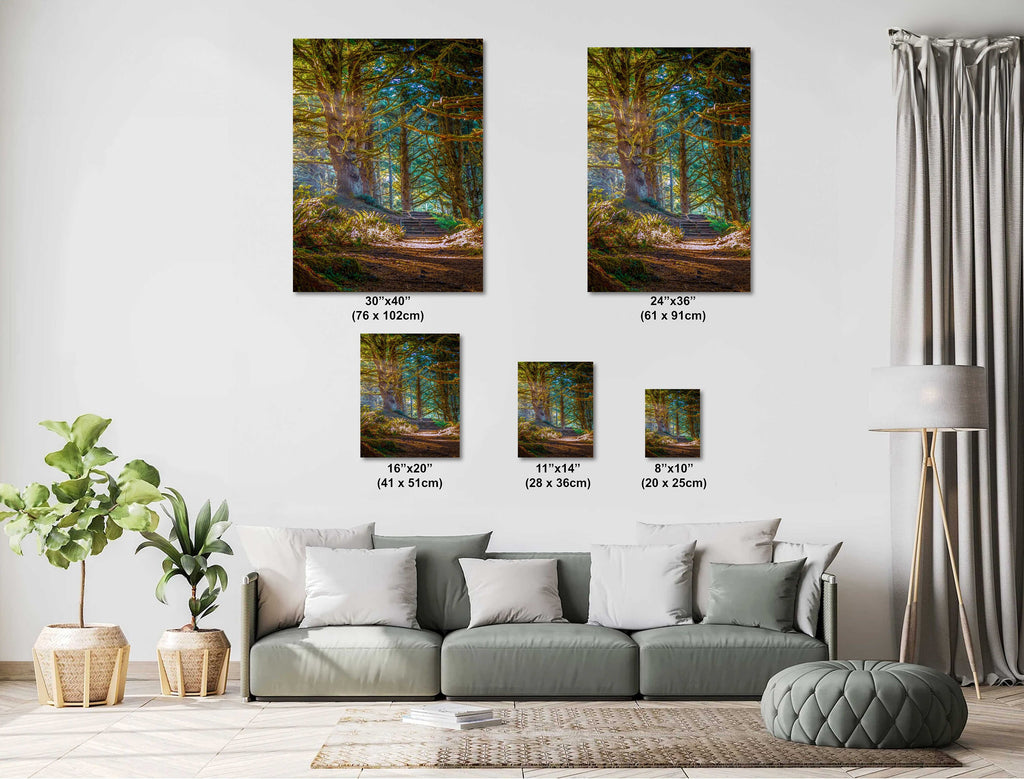 Florence Oregon Forest Print: Sunlight Reflection Wall Art
