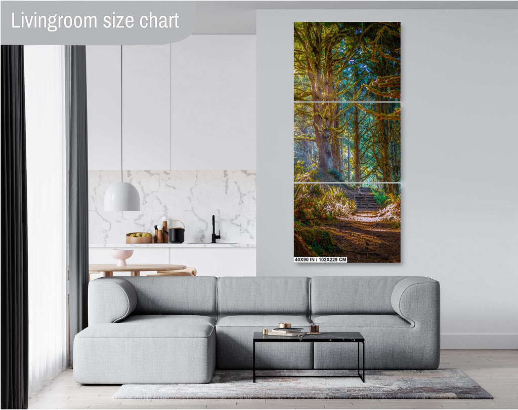 Florence Oregon Forest Print: Sunlight Reflection Wall Art