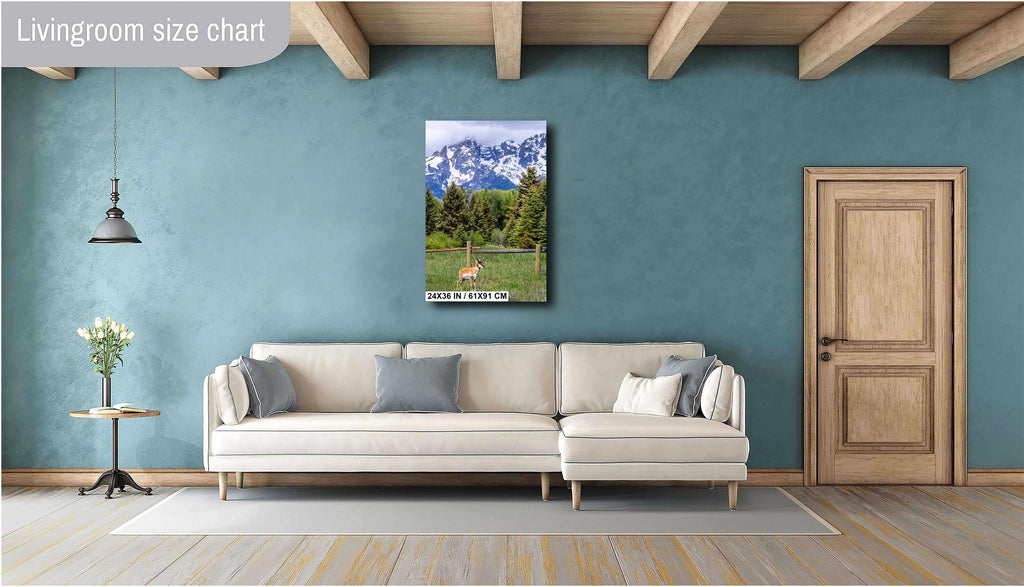 Teton Pronghorn: Wyoming Pronghorn Among Pine Trees and Grand Teton National Park's Snowcapped Mountains Metal Canvas Wall Art
