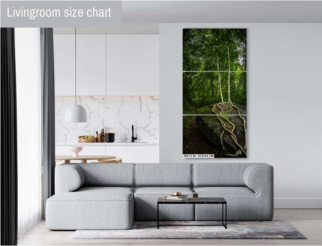 Married Trees with Loving Entwined Roots: Scaly Mountain on Bartram Trail Blue Ridge Mountain Forest Print Wall Art North Carolina Aluminum/Acrylic/Metal/Canvas