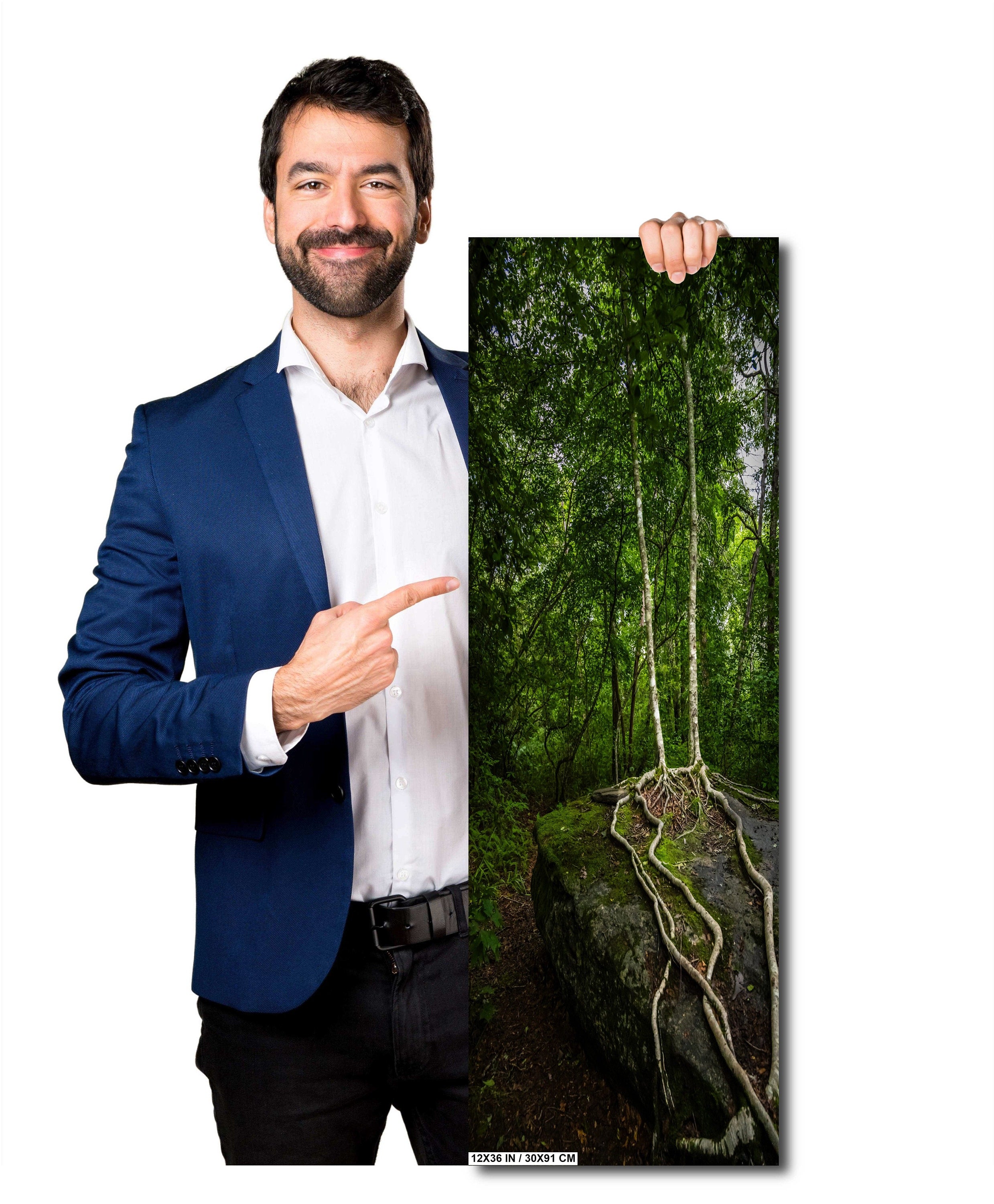 Married Trees with Loving Entwined Roots: Scaly Mountain on Bartram Trail Blue Ridge Mountain Forest Print Wall Art North Carolina Aluminum/Acrylic/Metal/Canvas