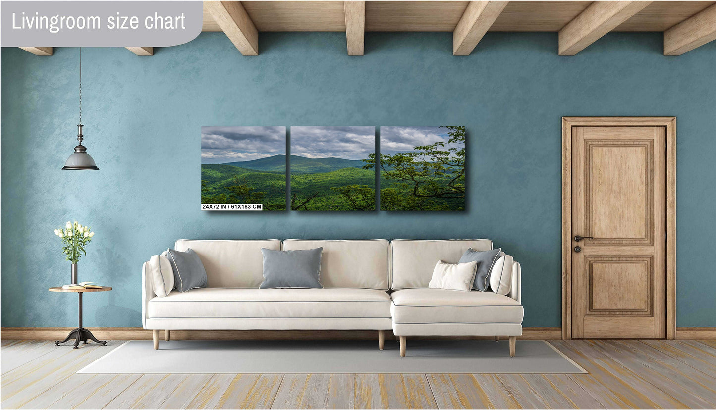Blue Ridge Hideaway: North Carolina Wall Art Print Lush Green Scenic Appalachian Mountains Nature Photography Aluminum/Acrylic/Metal/Canvas