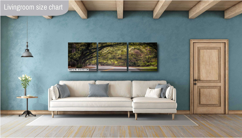 Mossy Motorway: Spanish Moss in Hilton Head Sea Pines Forest South Carolina Wall Art Metal Acrylic Print Nature Photography