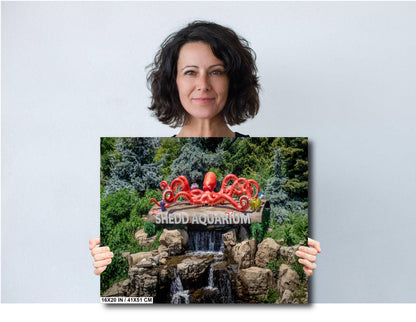 Chicago's Aquatic Gem: Shedd Aquarium Sign in Fountain Print Wall Art Chicago’s Indoor Aquarium Metal/Aluminum/Acrylic/Canvas