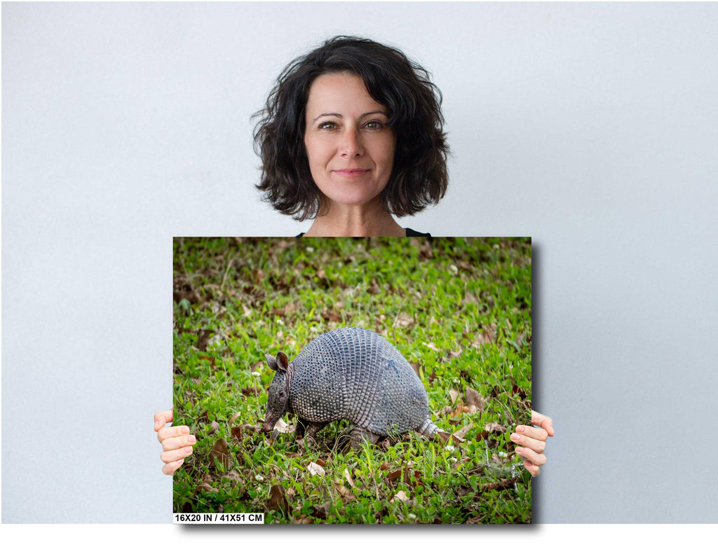 Woman holding an Armadillo Framed Wall Art Print
