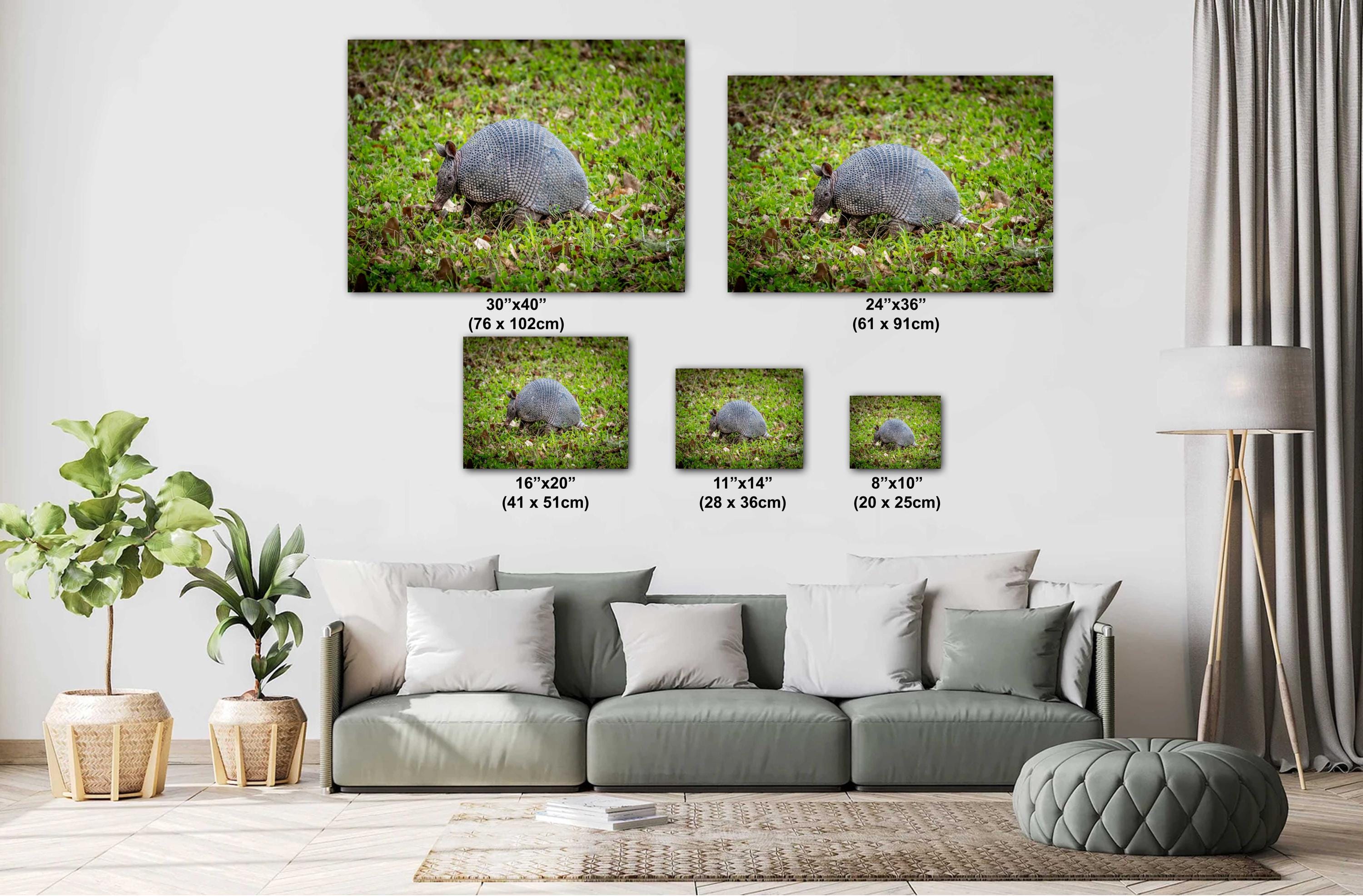 Size comparison guide showing five armadillo wildlife prints in a modern living room setting, ranging from 8x10 to 30x40 inches.