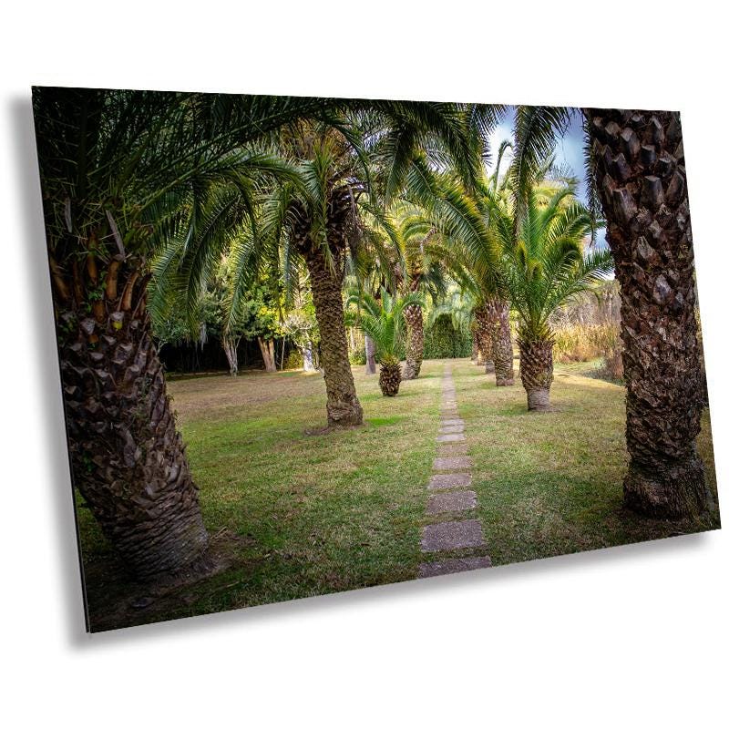 A wall art print featuring a pathway lined with tall palm trees in a garden setting.