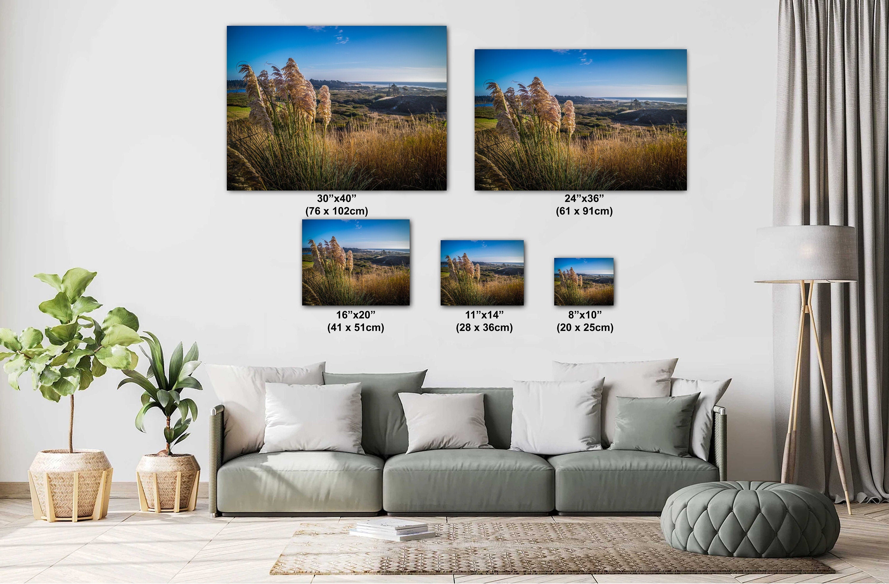 Pampas Grass Field Print: Heceta Head Oregon Coast Wall Art