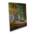 Florence Oregon Forest Print: Sunlight Reflection Wall Art