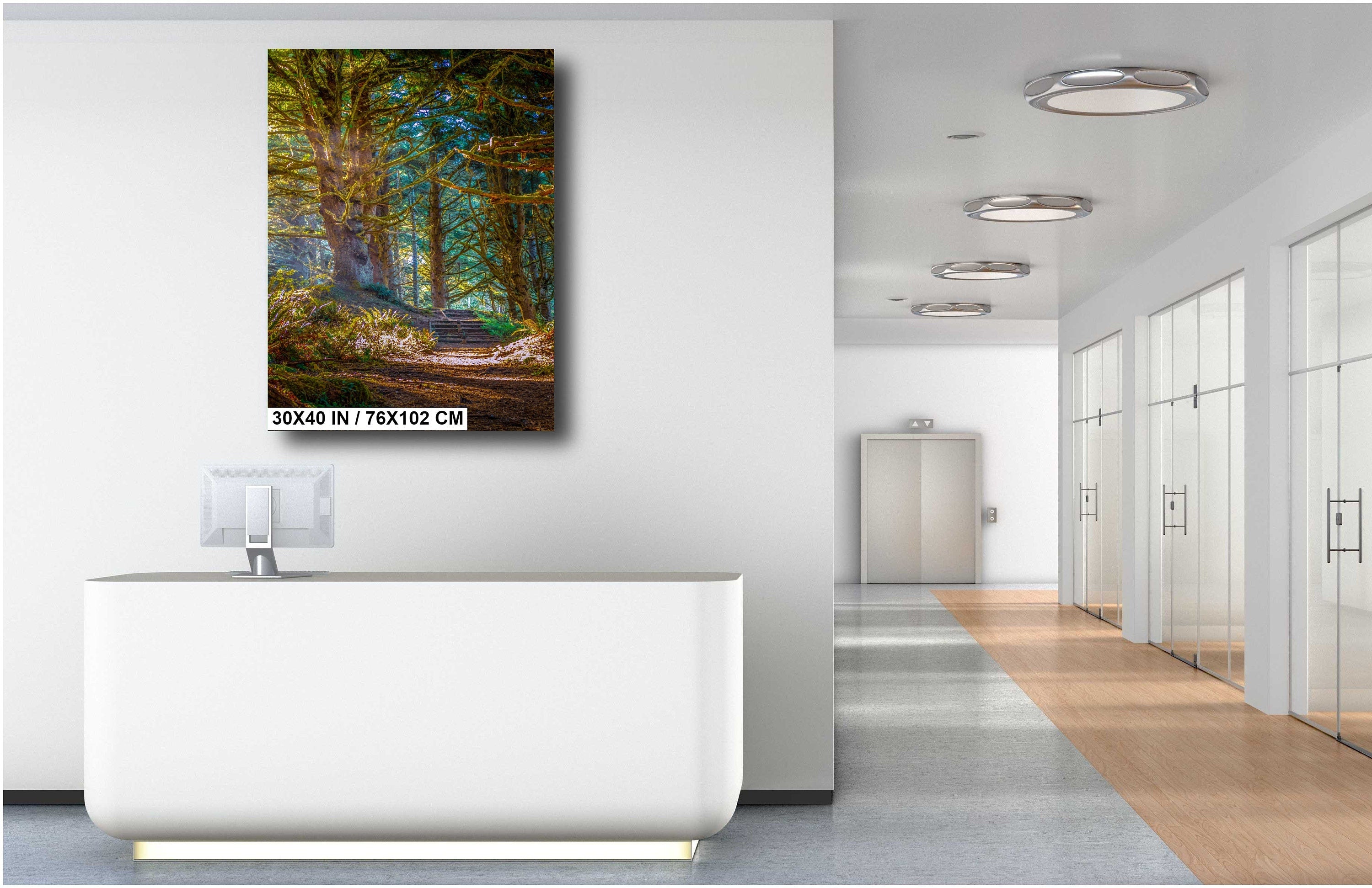 Florence Oregon Forest Print: Sunlight Reflection Wall Art