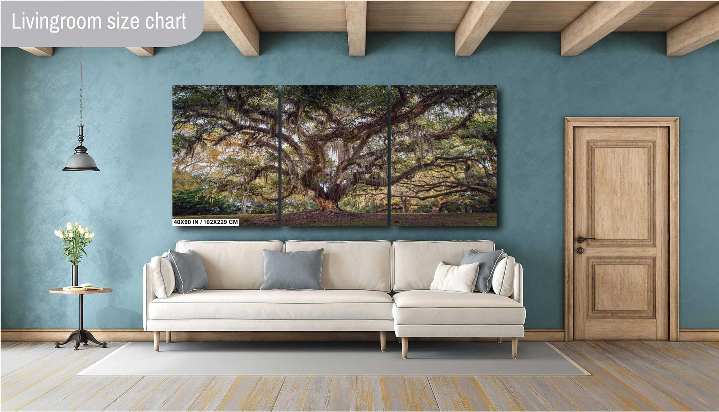 New Orleans Elegance: Wall Art Print Audubon Park’s Iconic Tree of Life New Orleans, Louisiana Spanish Moss Aluminum/Acrylic/Metal/Canvas