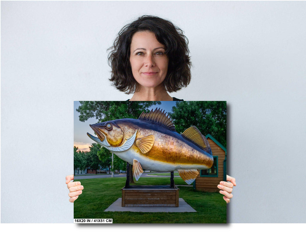 Mille Lacs Lake Fish Statue: Minnesota Historical Photography Wall Art