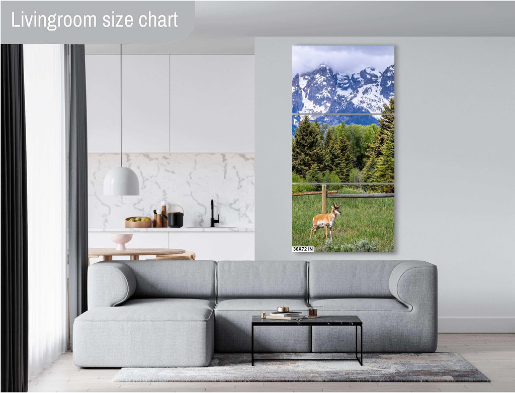 Teton Pronghorn: Wyoming Pronghorn Among Pine Trees and Grand Teton National Park's Snowcapped Mountains Metal Canvas Wall Art