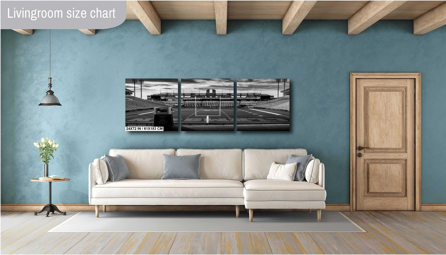 Clemson Tigers Stadium - Black & White Clemson Memorial Stadium Art Print