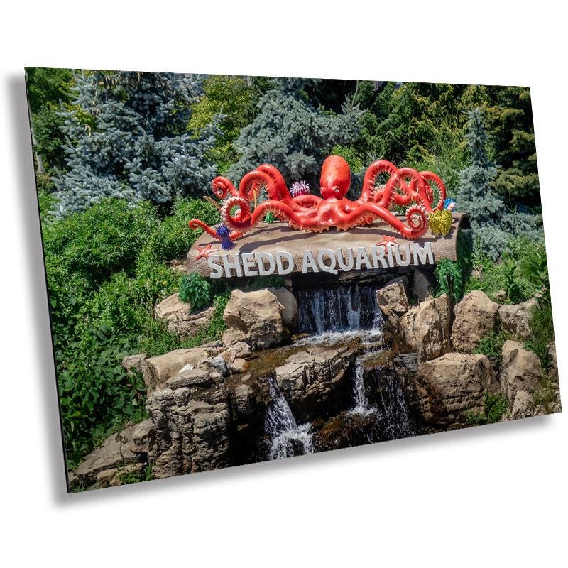 Shedd Aquarium Sign in Fountain Print Wall Art Chicago’s Indoor Aquarium