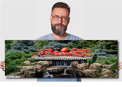 Chicago's Aquatic Gem: Shedd Aquarium Sign in Fountain Print Wall Art Chicago’s Indoor Aquarium Metal/Aluminum/Acrylic/Canvas