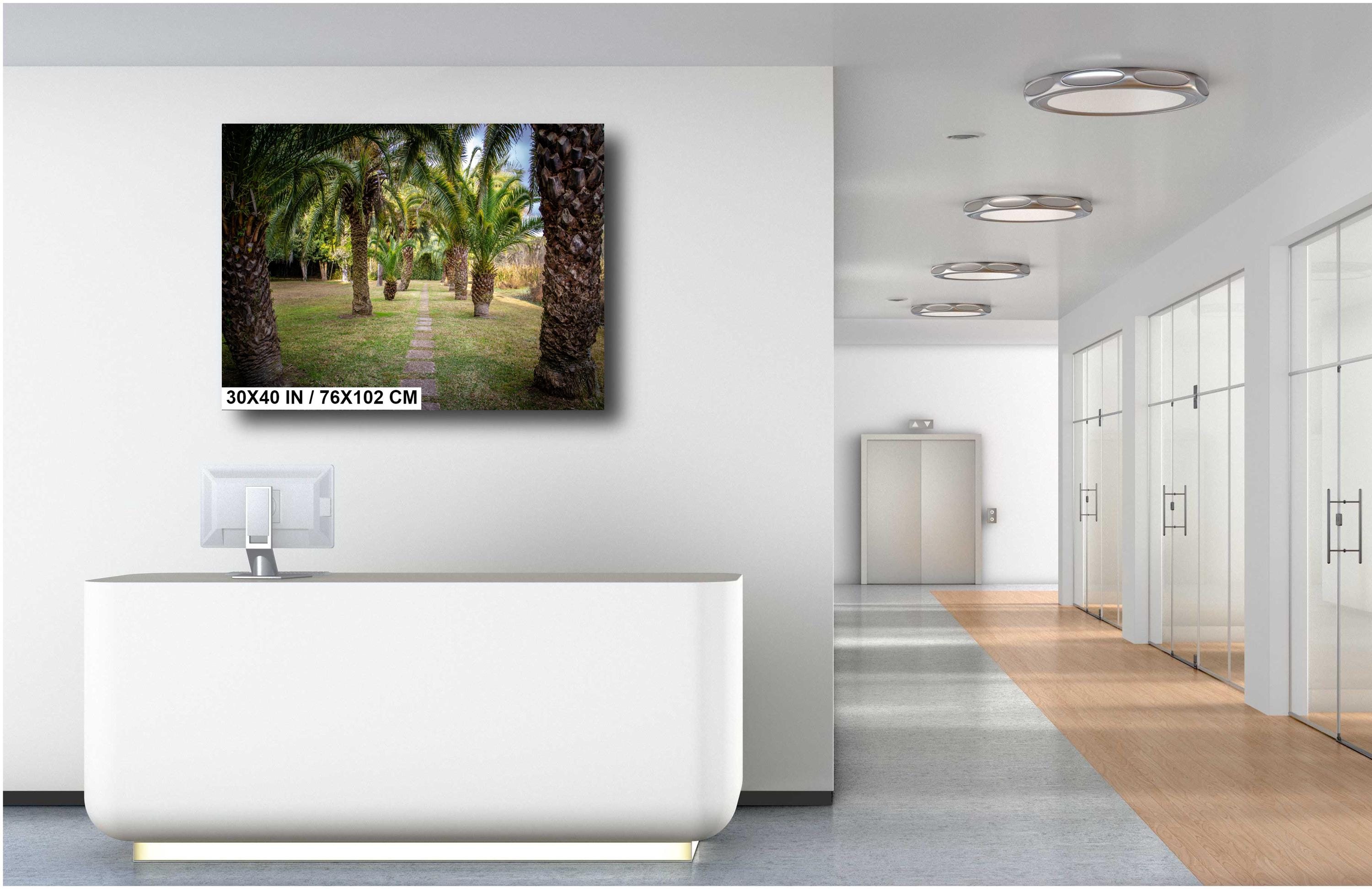 Louisiana Palms: Wall Art Print A Glimpse of Abbeville’s Greenery Louisiana Palm Trees Landscape Nature Metal/Canvas/Aluminum/Acrylic