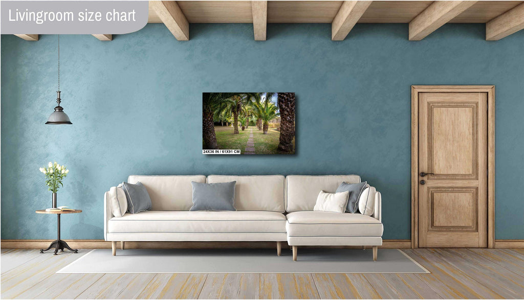 Louisiana Palms: Wall Art Print A Glimpse of Abbeville’s Greenery Louisiana Palm Trees Landscape Nature Metal/Canvas/Aluminum/Acrylic