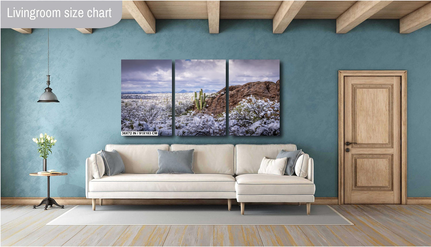 Snowy Saguaro Cactus Print: Arizona Desert Winter Landscape Photography