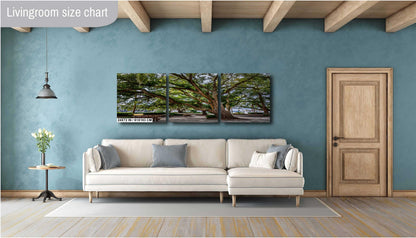 Whispers of the South: Oak Tree Covered with Spanish Moss Hilton Head Island South Carolina Wall Art Print Aluminum/Acrylic/Metal/Canvas