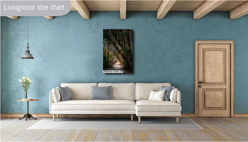 Canopy of Tranquility: Live Oak in Sea Pines Forest Hilton Head South Carolina Wall Art Print Nature Aluminum/Acrylic/Metal/Canvas