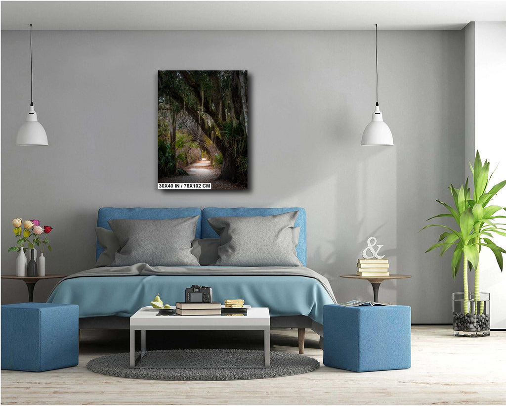 Canopy of Tranquility: Live Oak in Sea Pines Forest Hilton Head South Carolina Wall Art Print Nature Aluminum/Acrylic/Metal/Canvas