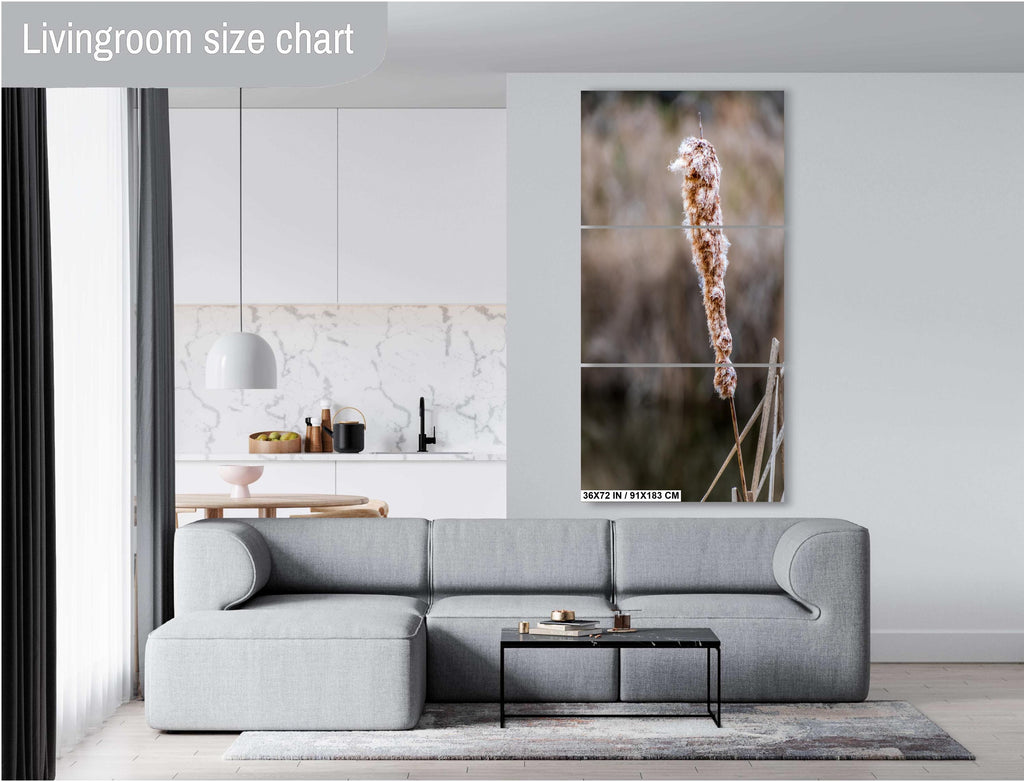 Cattails' Caress: Cattail Nature's Embrace in Spring Wall Art Print Hilton Head South Carolina Cattail Plant in Spring Aluminum/Metal/Canvas