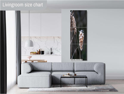 Chickadee’s Throne: A Black-Capped Bird Above the Cattails Wall Art Print Aluminum Spring Photography Aluminum/Acrylic/Metal/Canvas
