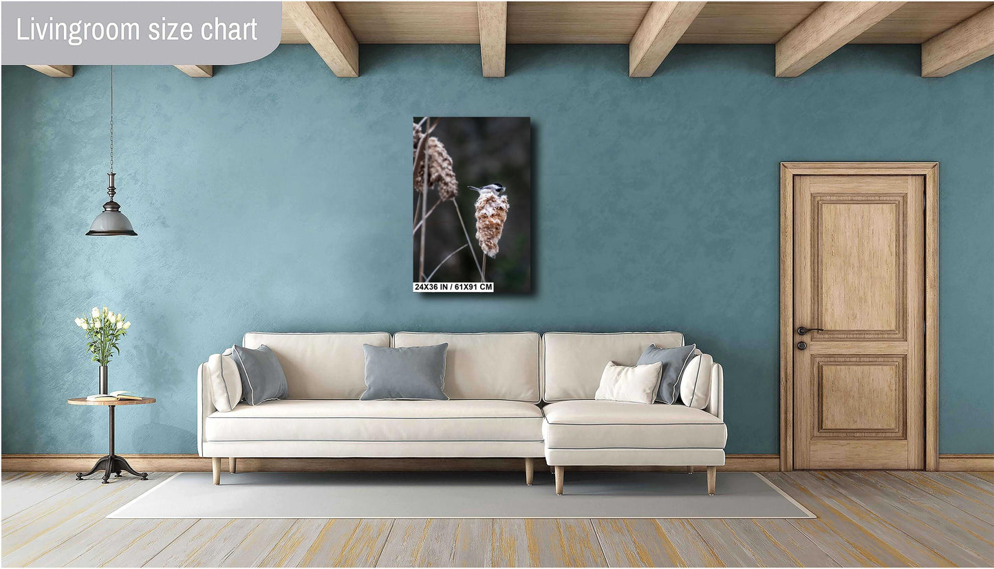 Chickadee’s Throne: A Black-Capped Bird Above the Cattails Wall Art Print Aluminum Spring Photography Aluminum/Acrylic/Metal/Canvas