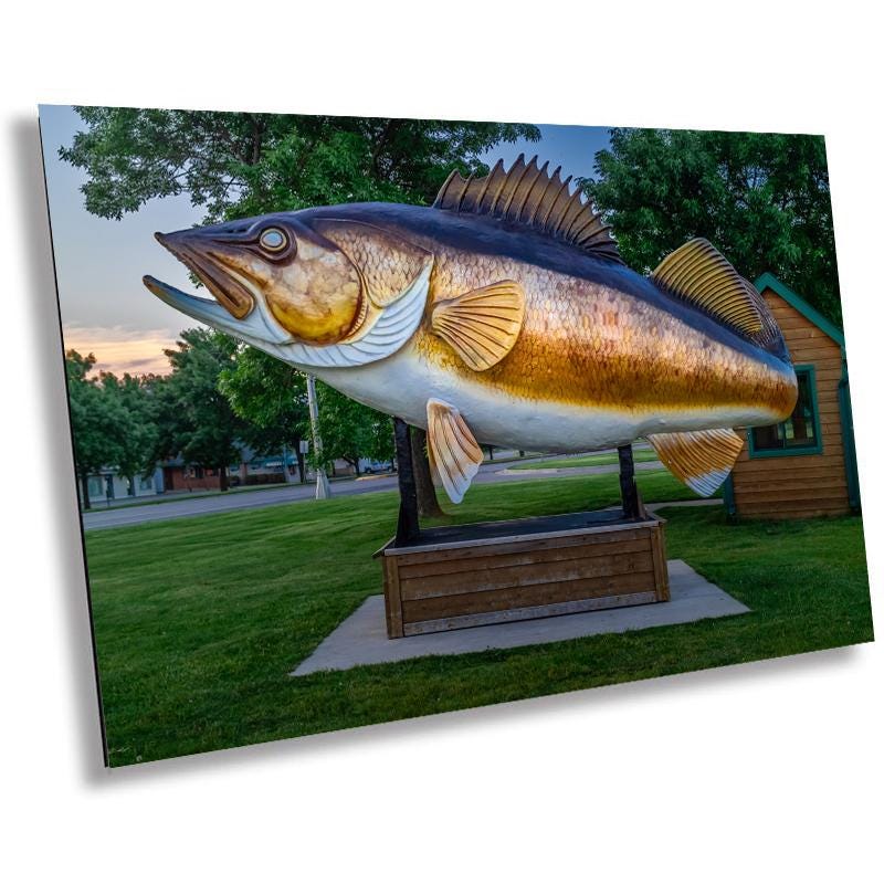 Mille Lacs Lake Fish Statue: Minnesota Historical Photography Wall Art