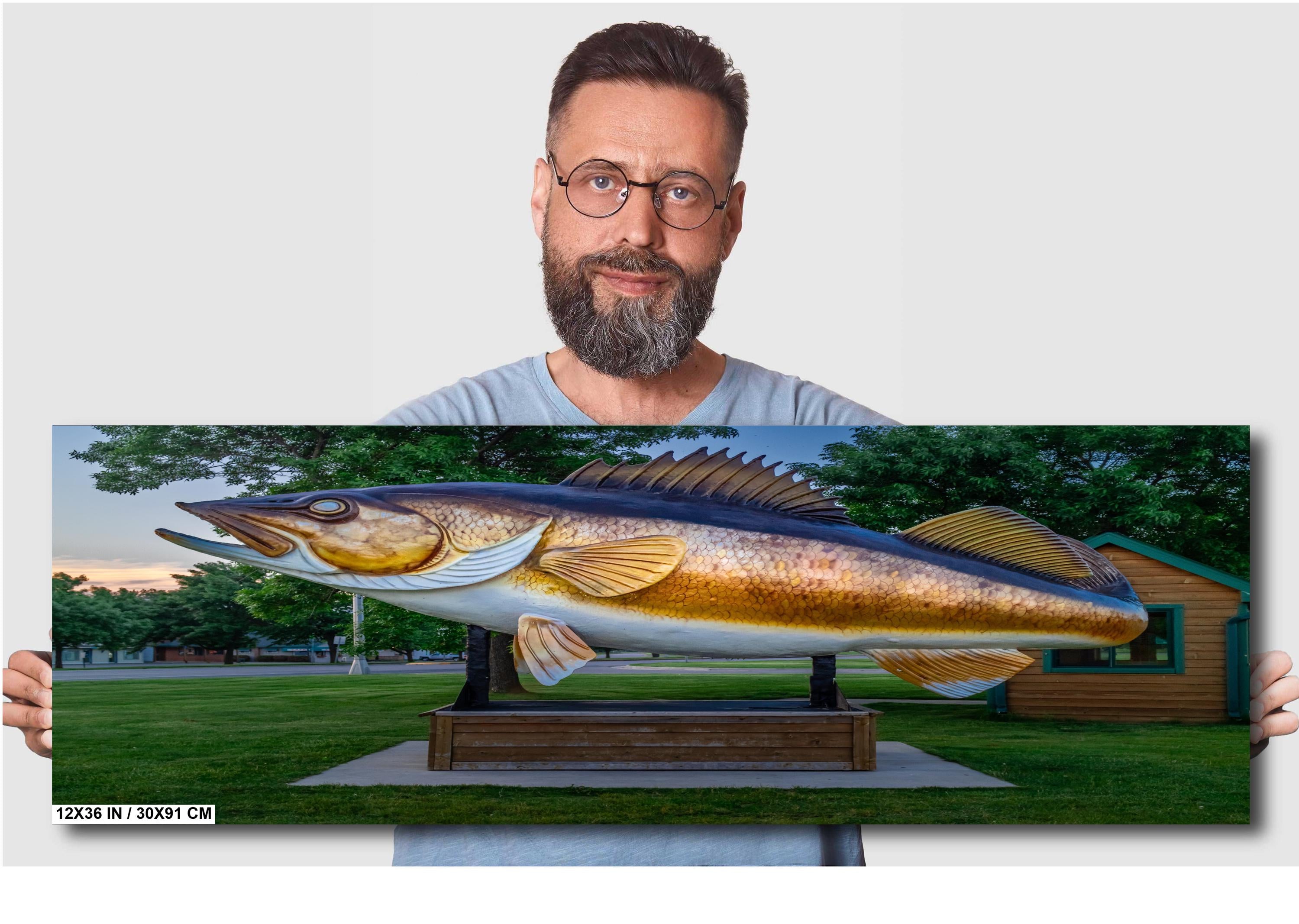 Mille Lacs Lake Fish Statue: Minnesota Historical Photography Wall Art