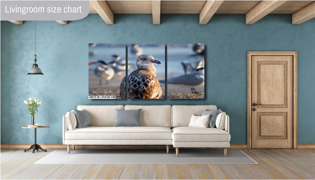 The Lonely She-Gull: Wall Art Print Brown Seagull on Anna Maria Island Florida Coast Bird Photography Aluminum/Acrylic/Metal/Canvas