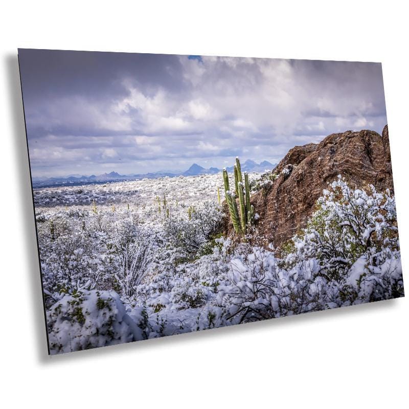 Snowy Saguaro Cactus Print: Arizona Desert Winter Landscape Photography