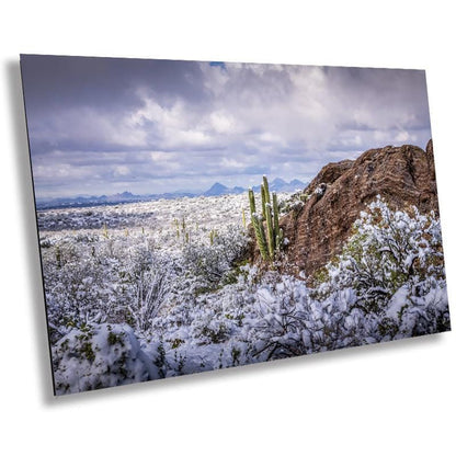 Snowy Saguaro Cactus Print: Arizona Desert Winter Landscape Photography