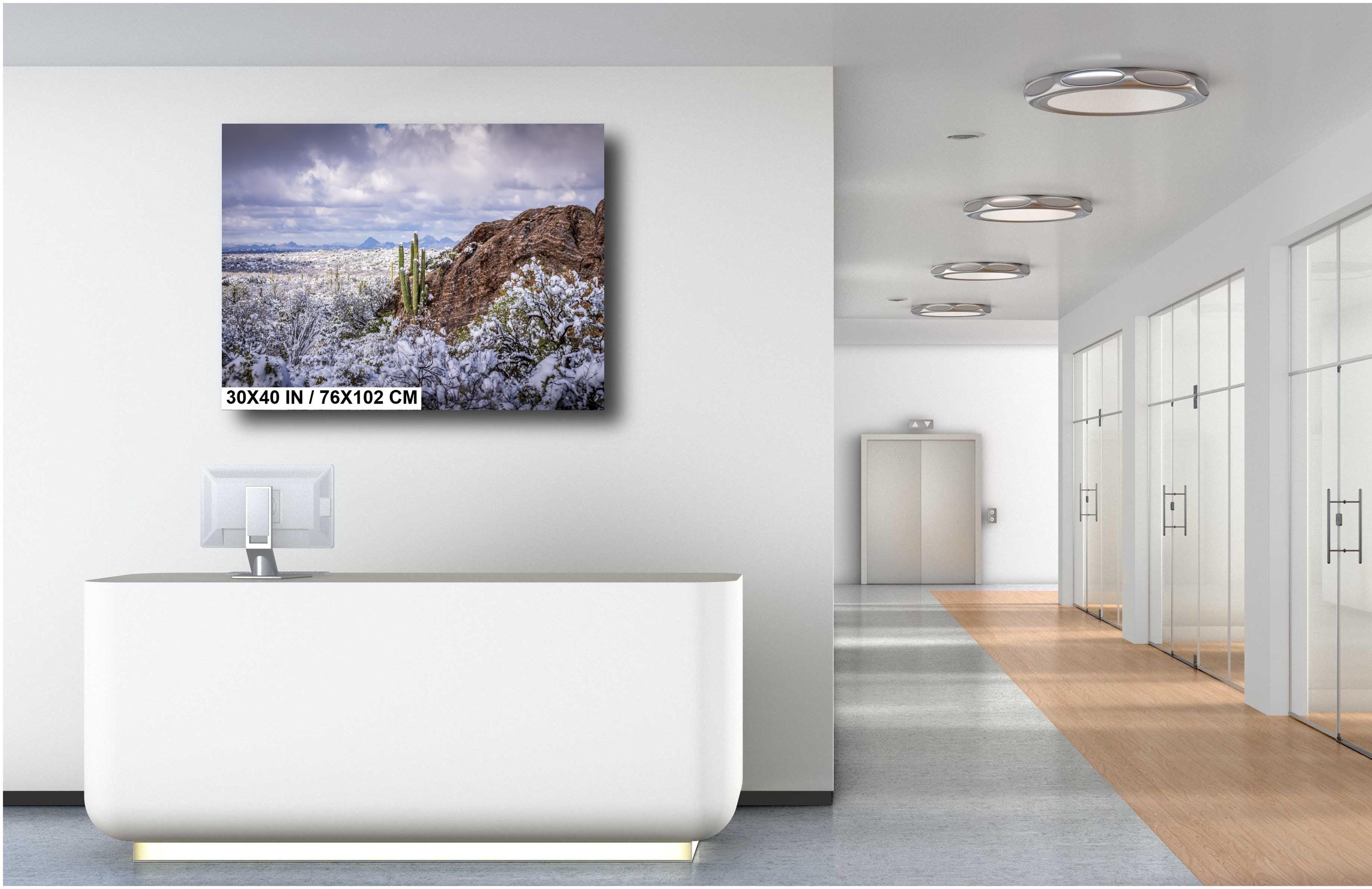 Snowy Saguaro Cactus Print: Arizona Desert Winter Landscape Photography
