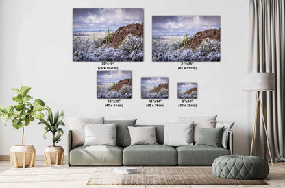 Snowy Saguaro Cactus Print: Arizona Desert Winter Landscape Photography