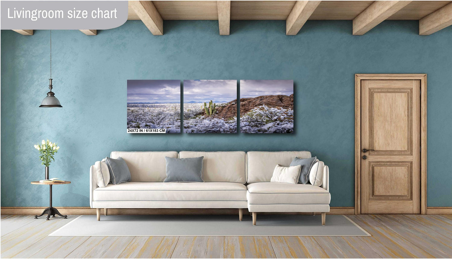 Snowy Saguaro Cactus Print: Arizona Desert Winter Landscape Photography