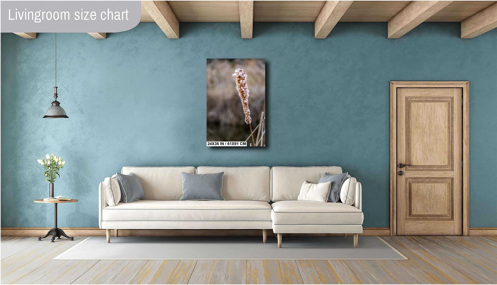 Cattails' Caress: Cattail Nature's Embrace in Spring Wall Art Print Hilton Head South Carolina Cattail Plant in Spring Aluminum/Metal/Canvas