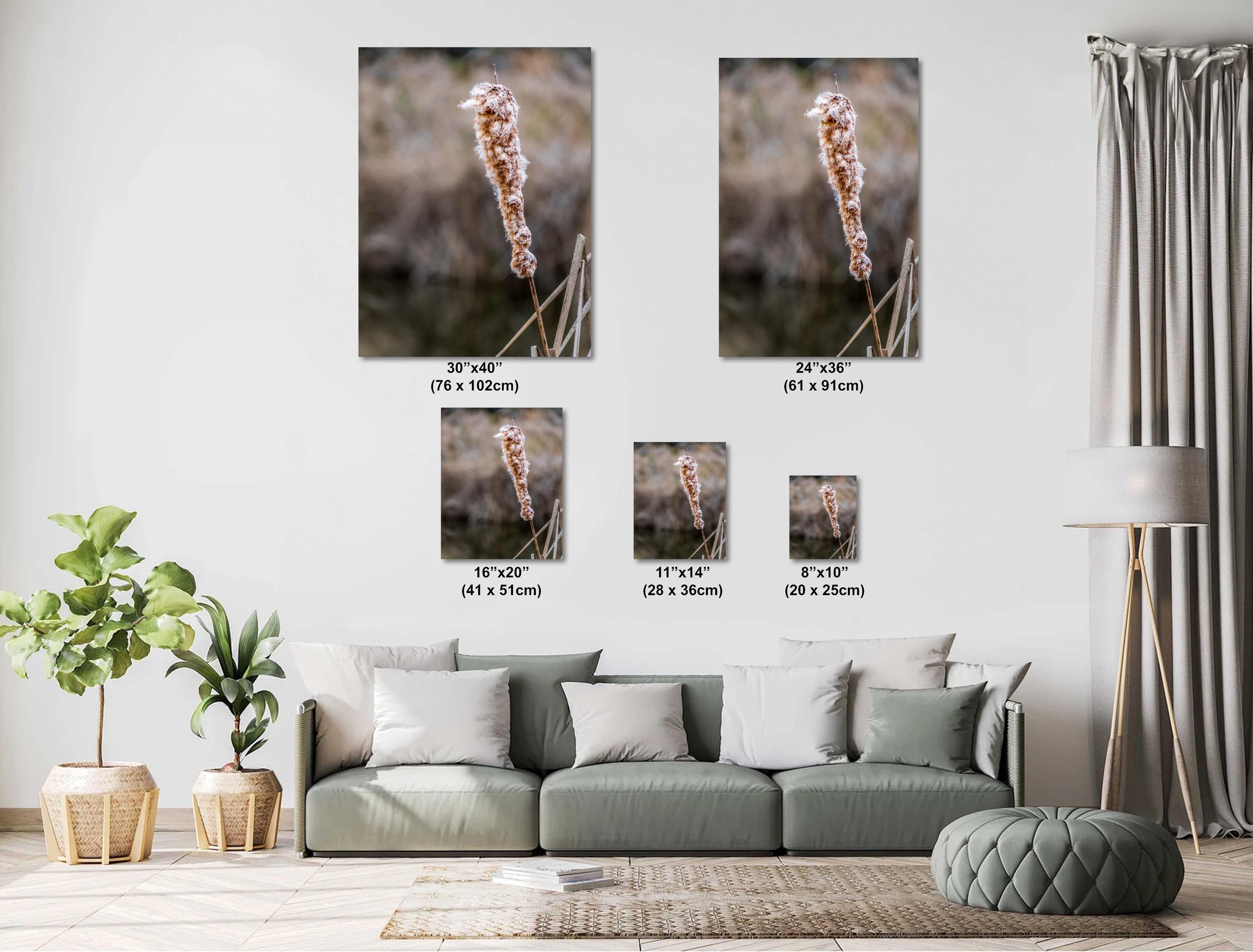 Cattails' Caress: Cattail Nature's Embrace in Spring Wall Art Print Hilton Head South Carolina Cattail Plant in Spring Aluminum/Metal/Canvas