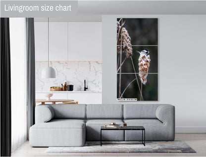 Chickadee’s Throne: A Black-Capped Bird Above the Cattails Wall Art Print Aluminum Spring Photography Aluminum/Acrylic/Metal/Canvas